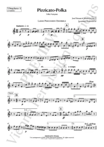 Pizzicato-Polka – sample page - percussion ensemble